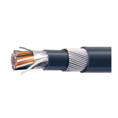 Polycab 0.75 Sqmm, 1 Pair Mylar Tape Overall Shielded Armoured Frls Instrumentation Cable (100 Meter)